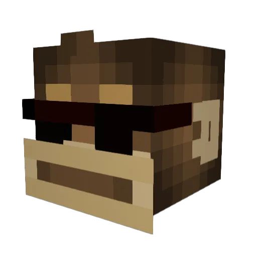 WhosRandom Minecraft avatar head, 3D render