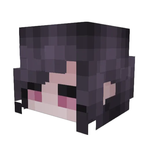 WhosSteve Minecraft avatar head, 3D render
