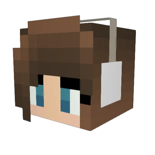 WhosThatGuy5678 Minecraft avatar head, 3D render