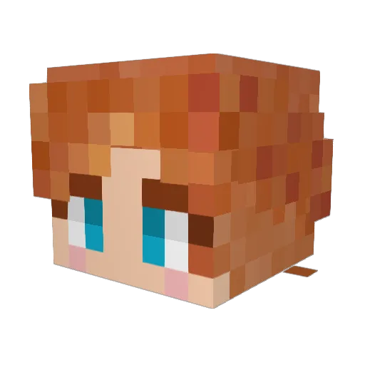 Whovian82 Minecraft avatar head, 3D render