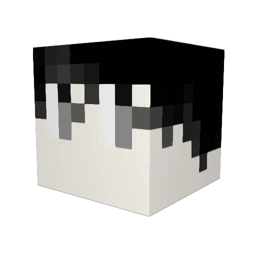 WhovianTrainee Minecraft avatar head, 3D render
