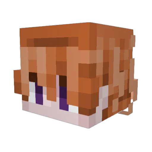 Whowe005 Minecraft avatar head, 3D render