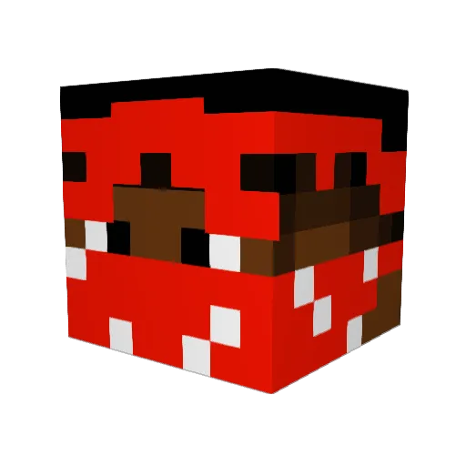 WhussBrackin Minecraft avatar head, 3D render