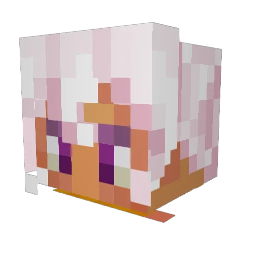 Whuts_Taters Minecraft avatar head, 3D render
