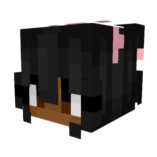 Whxsdee Minecraft avatar head, 3D render