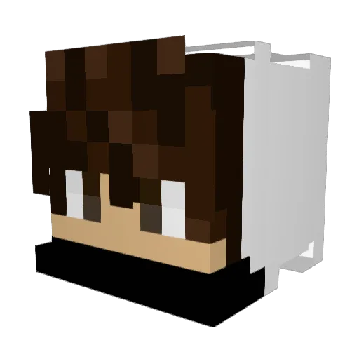 Why4rehaze Minecraft avatar head, 3D render