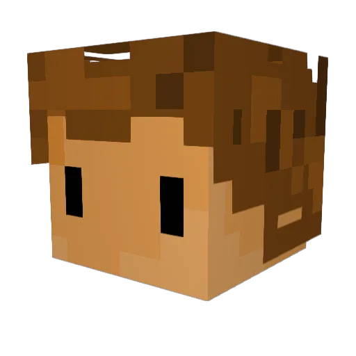 WhyAm1Here_ Minecraft avatar head, 3D render