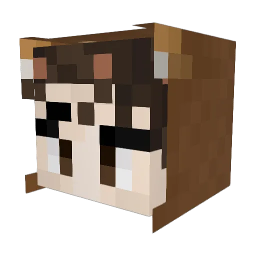 WhyAmIPlayingMC Minecraft avatar head, 3D render