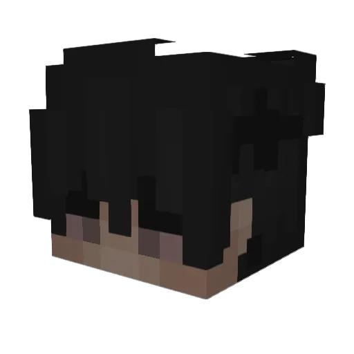 WhyBeGood Minecraft avatar head, 3D render