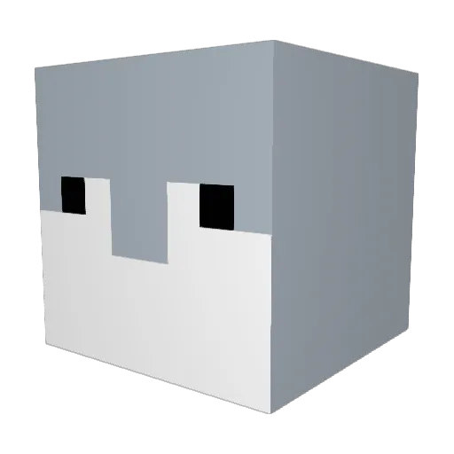 WhyBrain Minecraft avatar head, 3D render