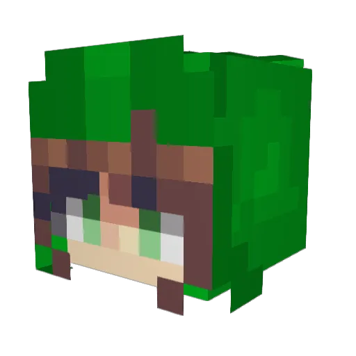 WhyBuddy Minecraft avatar head, 3D render
