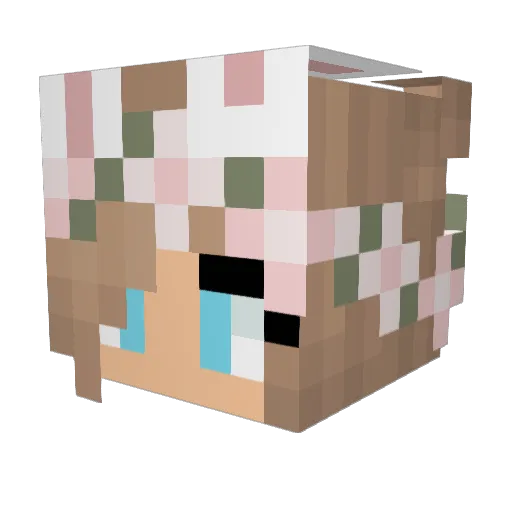 WhyCallHax Minecraft avatar head, 3D render