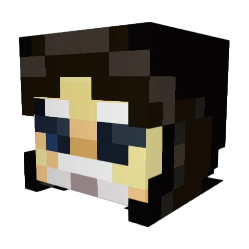 WhyCanWeNot Minecraft avatar head, 3D render