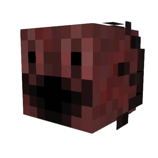 WhyDoTHeyHateZen Minecraft avatar head, 3D render