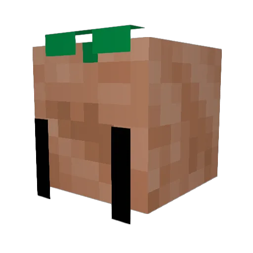 WhyGamZa Minecraft avatar head, 3D render