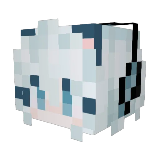 WhyGoose Minecraft avatar head, 3D render