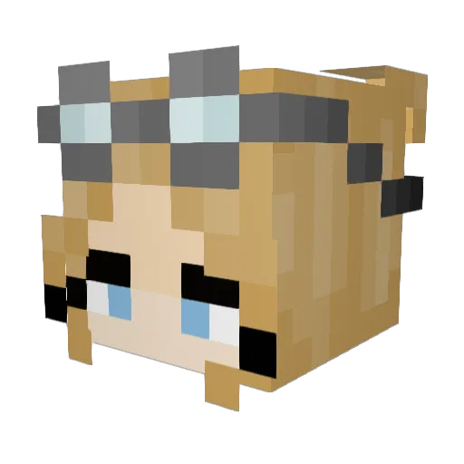 WhyIsMatsCool Minecraft avatar head, 3D render