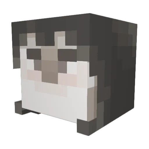 WhyJRthegreat Minecraft avatar head, 3D render