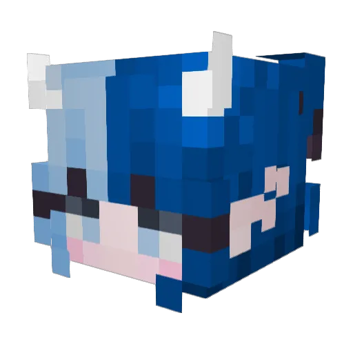 WhyLasky Minecraft avatar head, 3D render