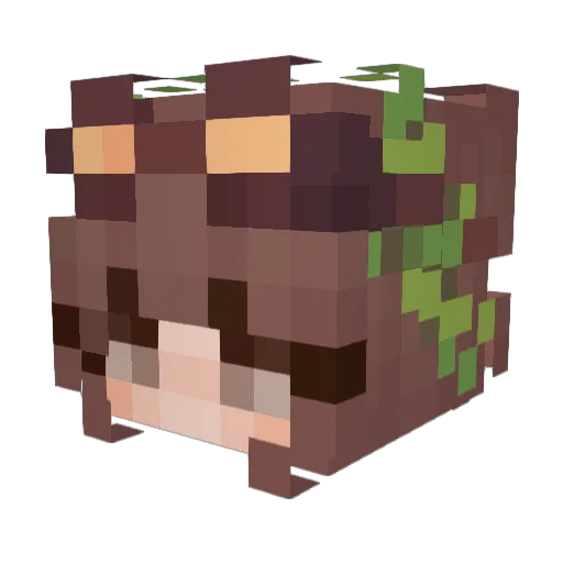 WhyLimeJ Minecraft avatar head, 3D render