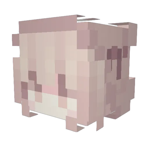 WhyLoves Minecraft avatar head, 3D render
