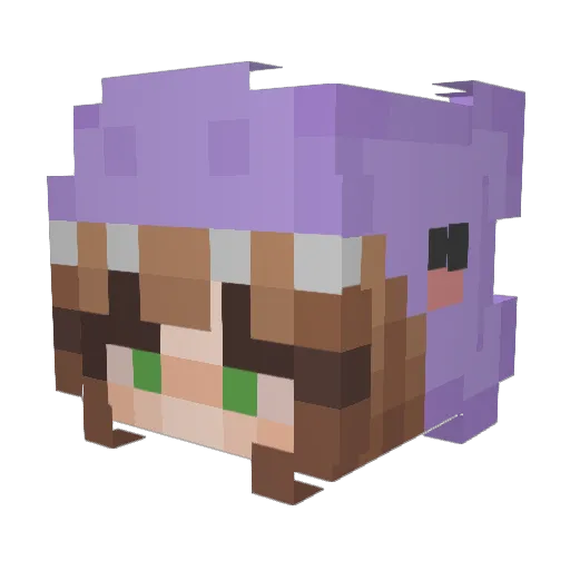 WhyMe Minecraft avatar head, 3D render