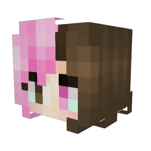 WhyNotHard Minecraft avatar head, 3D render