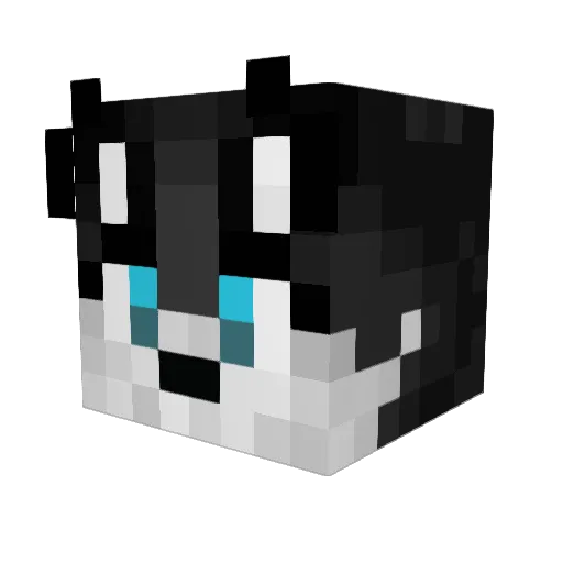 WhyNotHusky Minecraft avatar head, 3D render