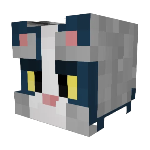 WhyNotYZ Minecraft avatar head, 3D render