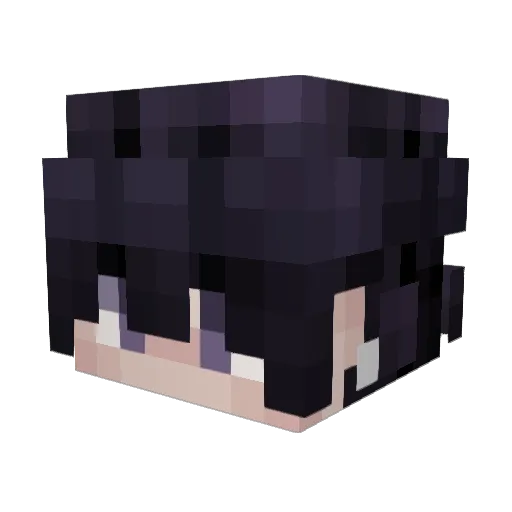 WhyNot_21 Minecraft avatar head, 3D render