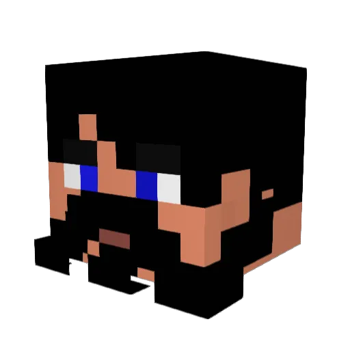 WhyPhy_BE Minecraft avatar head, 3D render