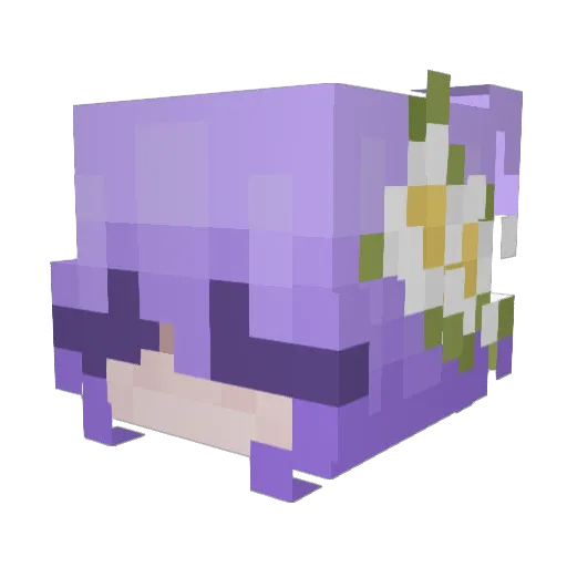 WhyPie Minecraft avatar head, 3D render
