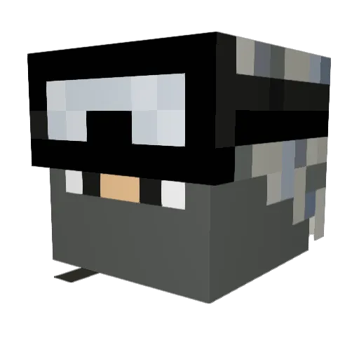 WhySoMadBro1 Minecraft avatar head, 3D render