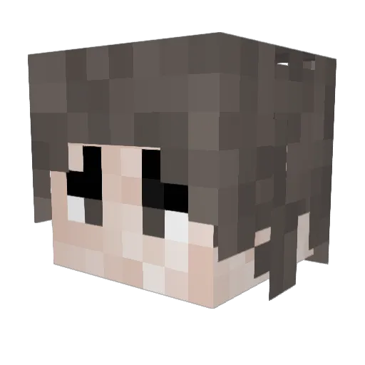 WhySoSeriouus Minecraft avatar head, 3D render