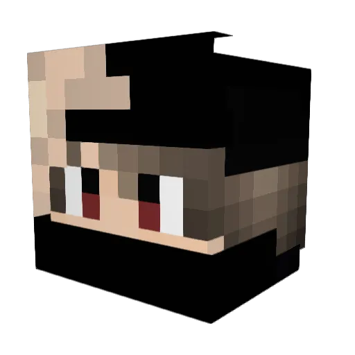 WhySpecial Minecraft avatar head, 3D render