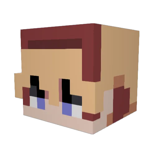 WhyTheBurger Minecraft avatar head, 3D render