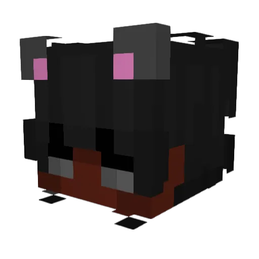 WhyUHaveT0B3MAD Minecraft avatar head, 3D render