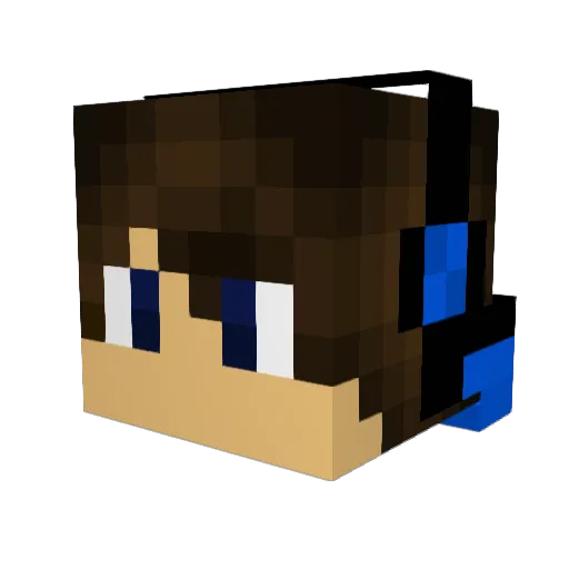 WhyUIgnore Minecraft avatar head, 3D render