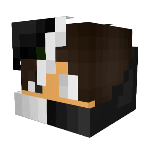 WhyWei Minecraft avatar head, 3D render