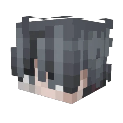 WhyYouReadThis Minecraft avatar head, 3D render