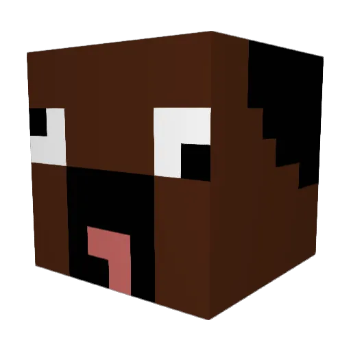 Why_1234 Minecraft avatar head, 3D render
