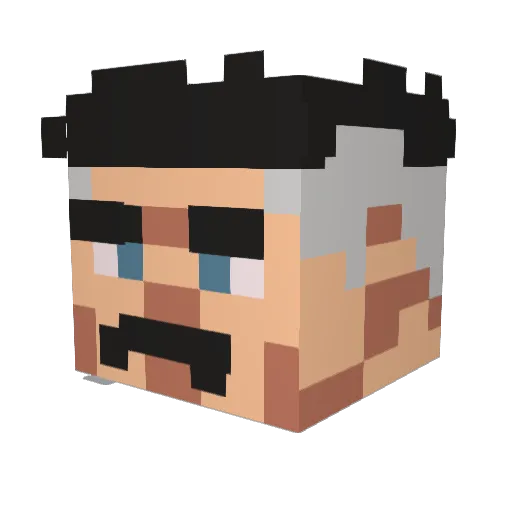 Why_Enthusiasm1 Minecraft avatar head, 3D render
