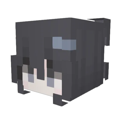 Why_OAO Minecraft avatar head, 3D render