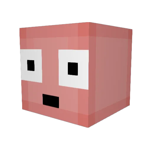 Why_aidan Minecraft avatar head, 3D render