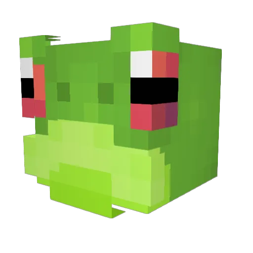Why_though777 Minecraft avatar head, 3D render