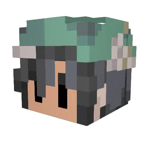 WhyfrogsreaLL Minecraft avatar head, 3D render