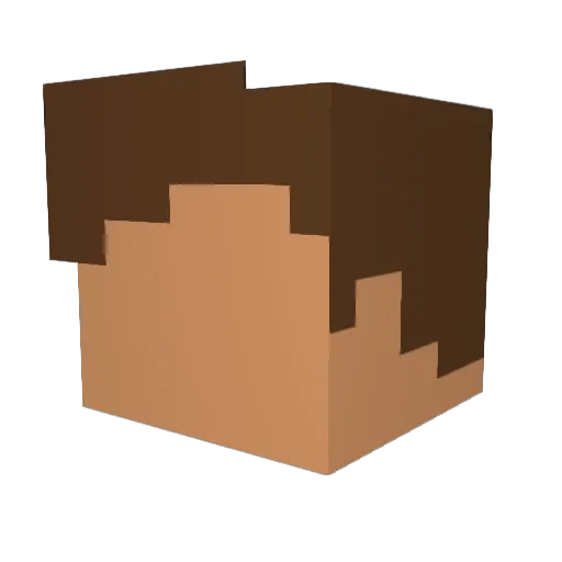 Whyght Minecraft avatar head, 3D render