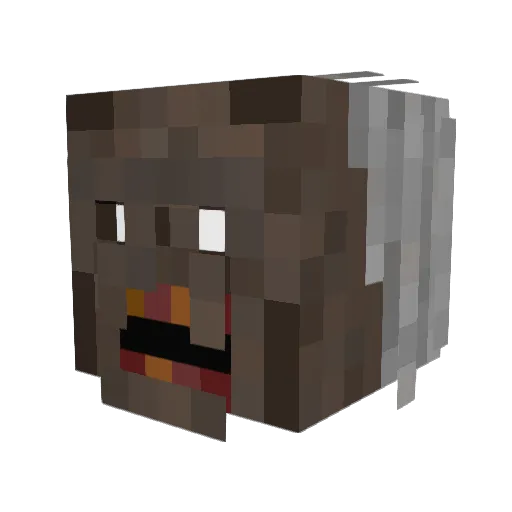 Whyistimehere Minecraft avatar head, 3D render