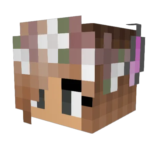 Whyla Minecraft avatar head, 3D render