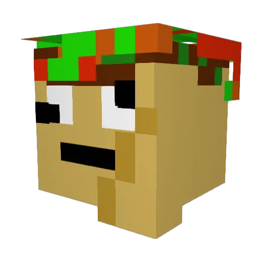 Whynotburrito Minecraft avatar head, 3D render